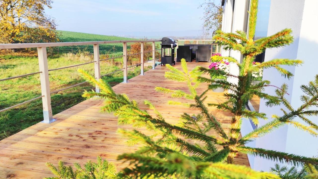 Ranch 66 - Moderni Tiny House Black Swallow Ve Stylu Route 66 Se Saunou A Bazenem Tršice Εξωτερικό φωτογραφία